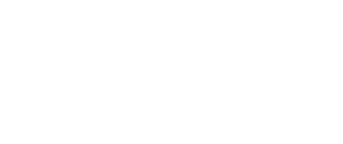 Trusted client partner